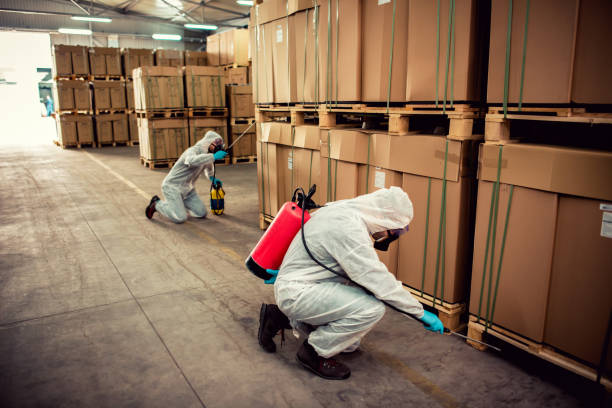 Best Best Pest Control Near Me  in Erin, TN
