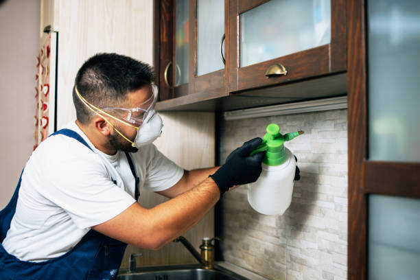 Best Best Pest Control Companies  in Erin, TN
