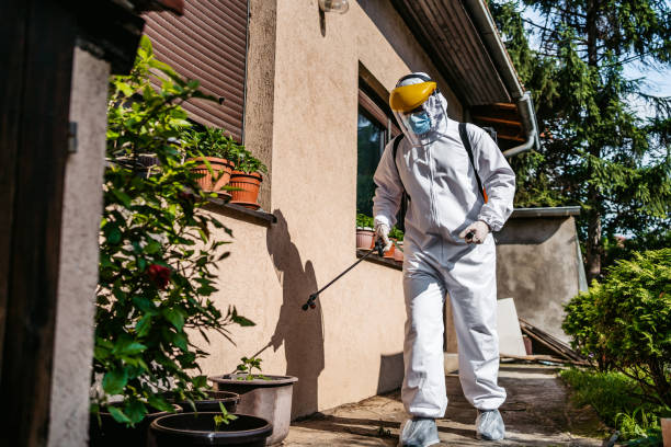 Best Insect Control  in Erin, TN