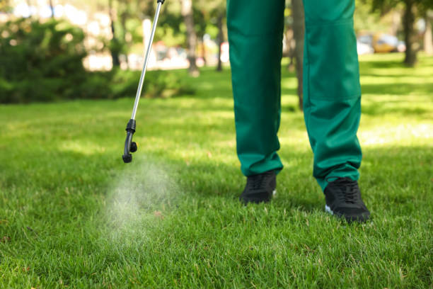 Pest Prevention Services in Erin, TN
