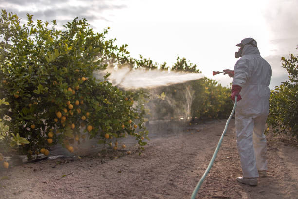 Best Residential Pest Control  in Erin, TN