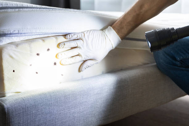 Best Emergency Pest Control  in Erin, TN