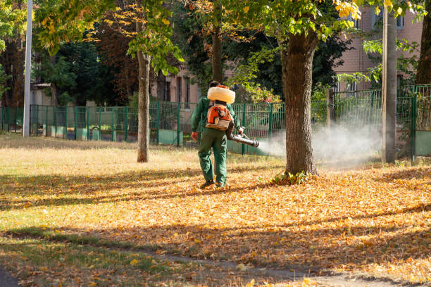 Best Flea Control Services  in Erin, TN