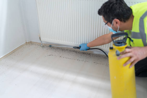 Best Pest Prevention Services  in Erin, TN