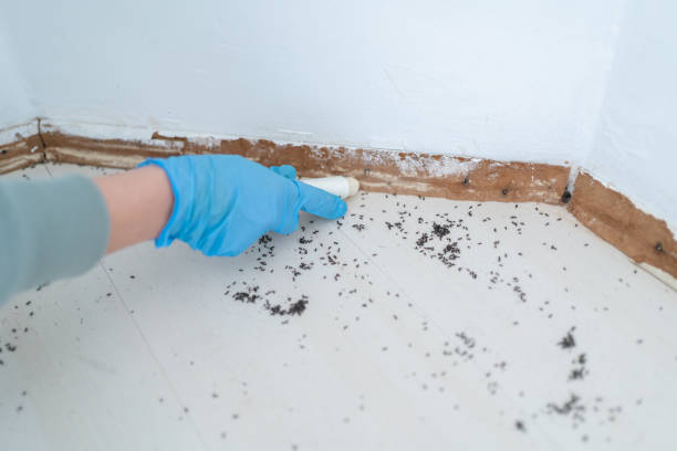 Best Mosquito Control Services  in Erin, TN